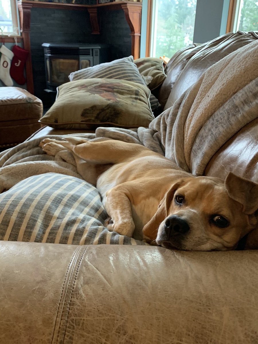 BaileyBabcock's tweet photo. That back leg cross. #queenholly π https://t.co/Ie3jcdnOiI