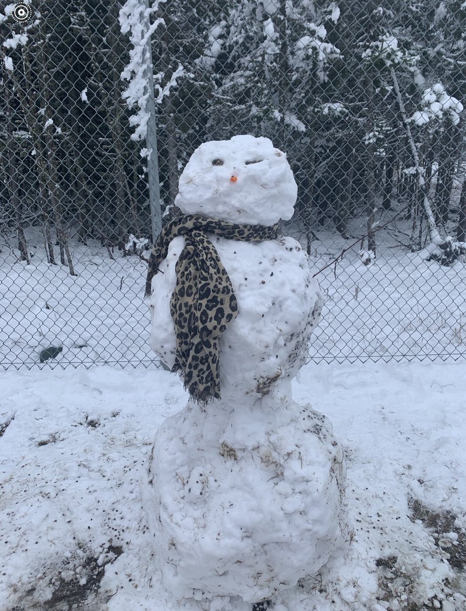 OctagonPond's tweet photo. The 1st big snowfall + a bit of dampness in the air = Kindergarten students having a ball!⛄️⛄️⛄️Great teamwork, Mme Barter’s class! This was the first of many snowmen to be made on our field today - everywhere we looked we saw students rolling big balls of snow❤️ #cherrycheeks 🤗 https://t.co/wGaqKgy1lo