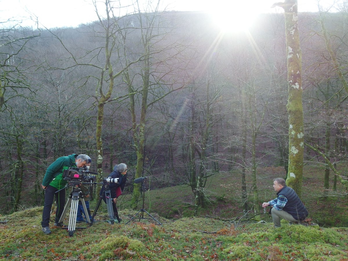 El #otoño es tiempo de cambios y mutaciones profundas en los ecosistemas. Bosques gestando vida, campos recién sembrados,  cielos con intenso tráfico de aves migrando. "Otoñarse" 18/Dic 18:35h en <a href="/la2_tve/">La 2</a>
<a href="/NavarraalNatura/">Juan Goñi</a>  
<a href="/CILagunaGalloca/">Laguna Gallocanta</a>  
#ParcNaturalCorredorMontnegre
