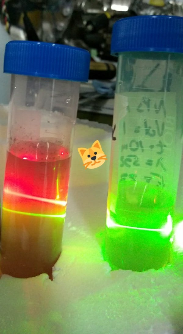 SomosCronopios's tweet image. ¿Para qué sirve la #Plasmonica? Para celebrar la #Nano #Navidad 🎄 con #Nanopartículas de oro entre otras aplicaciones 😎