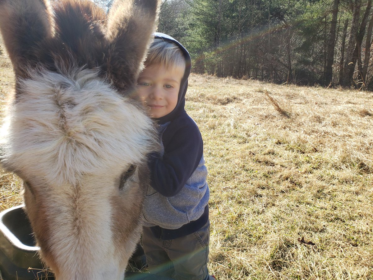 Jessica Cromer tweet media