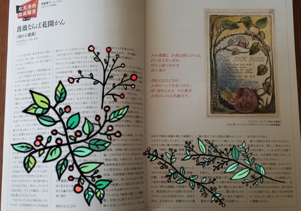 Takako Saito 齊藤貴子 英語 教育 1月号連載 敬愛する佐藤春夫先生の 薔薇ならば花開かん のフレーズをヒント タイトルに Wブレイクの 病める薔薇 の詩画を考察してみました 画面いっぱいに伸びる棘だらけの茎と 下部で花開く深紅の 花弁
