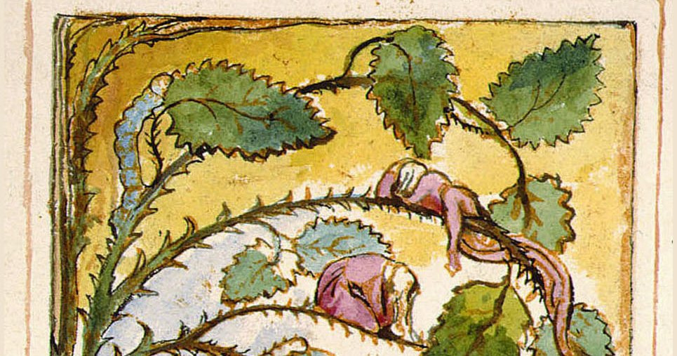 Takako Saito 齊藤貴子 英語 教育 1月号連載 敬愛する佐藤春夫先生の 薔薇ならば花開かん のフレーズをヒント タイトルに Wブレイクの 病める薔薇 の詩画を考察してみました 画面いっぱいに伸びる棘だらけの茎と 下部で 花開く深紅の花弁