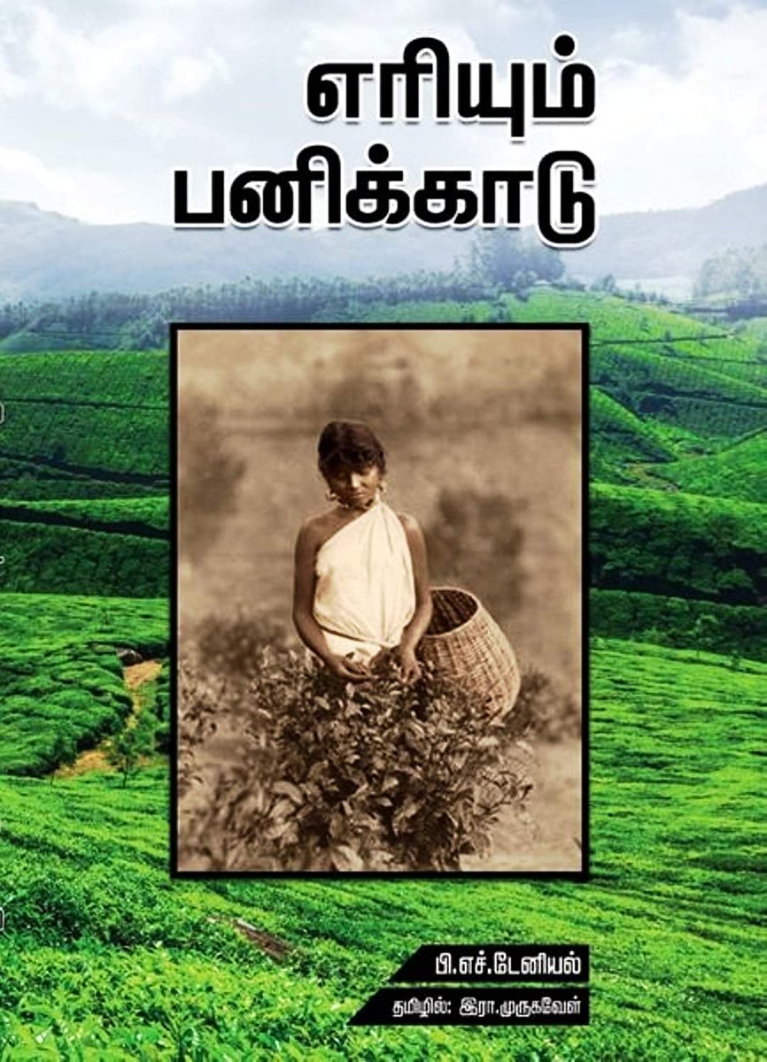 பி.எச்.டேனியலின் 'Red Tea' நாவல் 'எரியும் பனிக்காடு' என இரா. முருகவேளினால் தமிழில் மொழிபெயர்க்கப்பட்டுள்ளது. அதை அடிப்படையாக வைத்து திரைக்கதை அமைக்கப்பட்டதே பாலாவின் 'பரதேசி' திரைப்படம்.