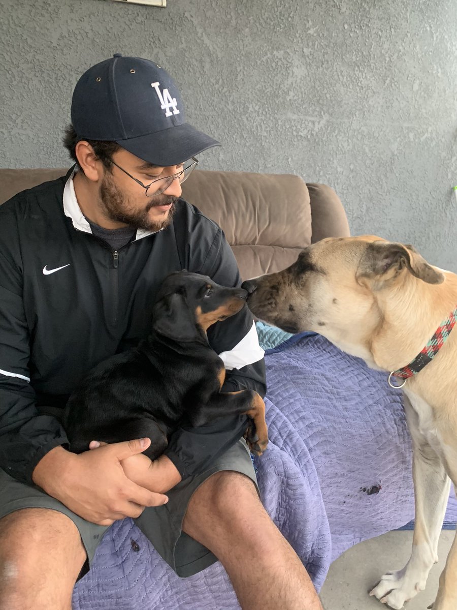 nenettg's tweet photo. Diesel and Illumi, #parentsoftwo https://t.co/Oa5VJHQWlS