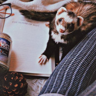 #NewProfilePic