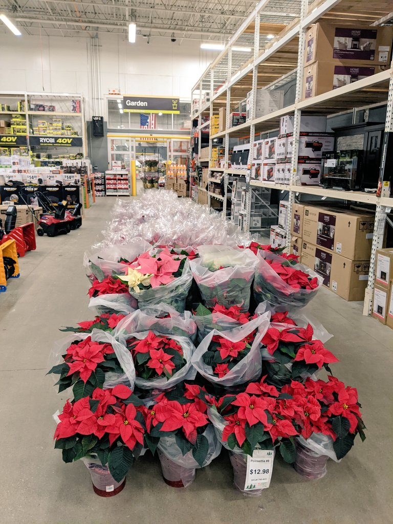 Jeannie Jyurovat tweet media