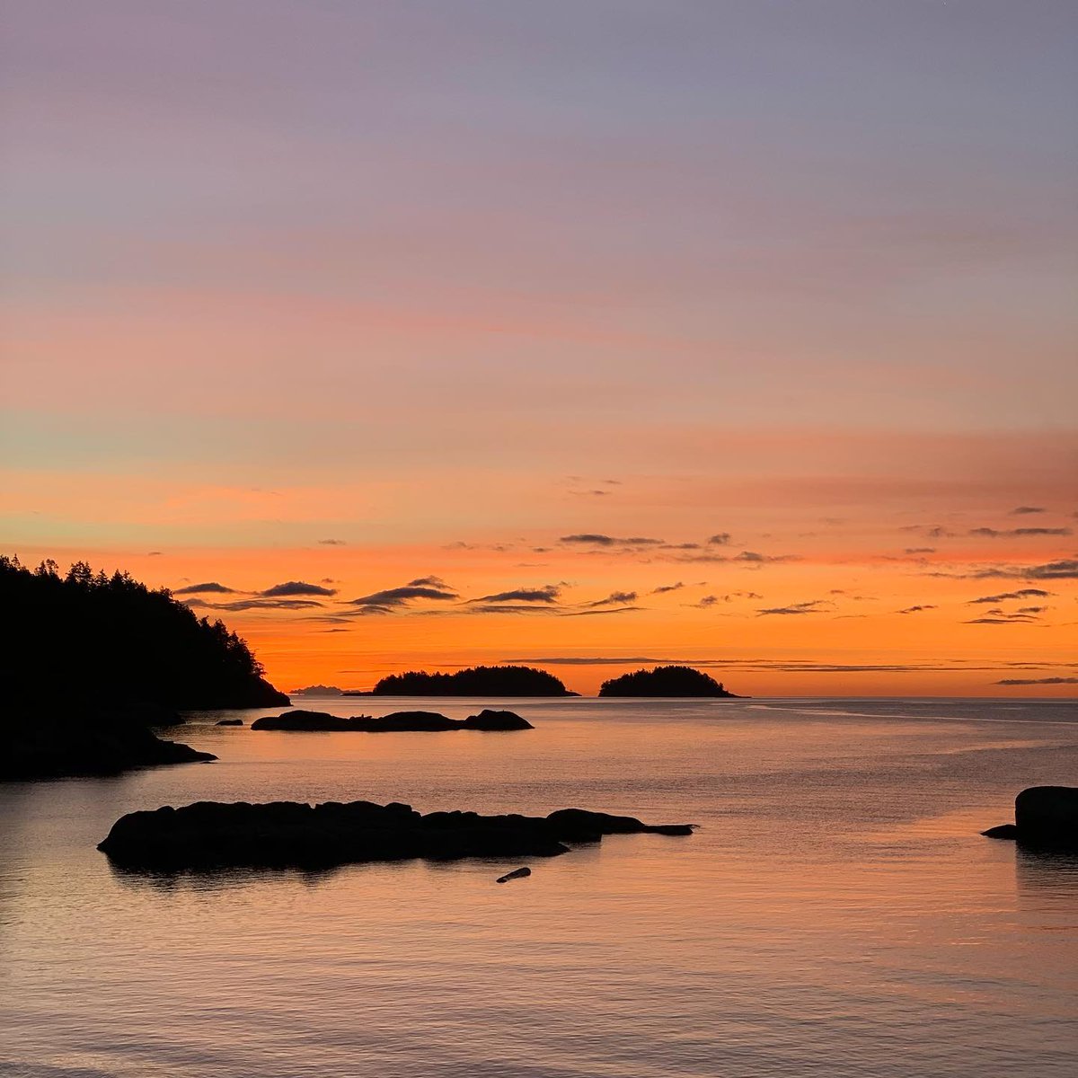 Sunshine Coast Tourism 🇨🇦 tweet media