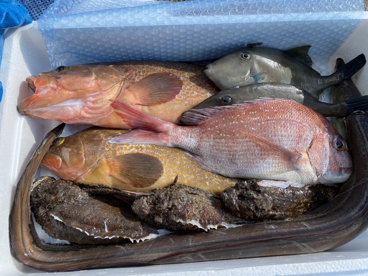 小豆島の漁師 はまゆう En Twitter 今日の鮮魚boxは値段も 良いが中身も良い 発送しました 最近なんかネタに刺激がなくて 県外で漁師の休日動画も撮れないし なにか島でできる面白い動画ネタ ないだろうか 小豆島の漁師 はまゆう En Twitter 今日の鮮魚boxは値段も 良いが中身も良い 発送しました 最近なんかネタに刺激がなくて 県外で漁師の休日動画も撮れないし なにか島でできる面白い動画ネタ ないだろうか