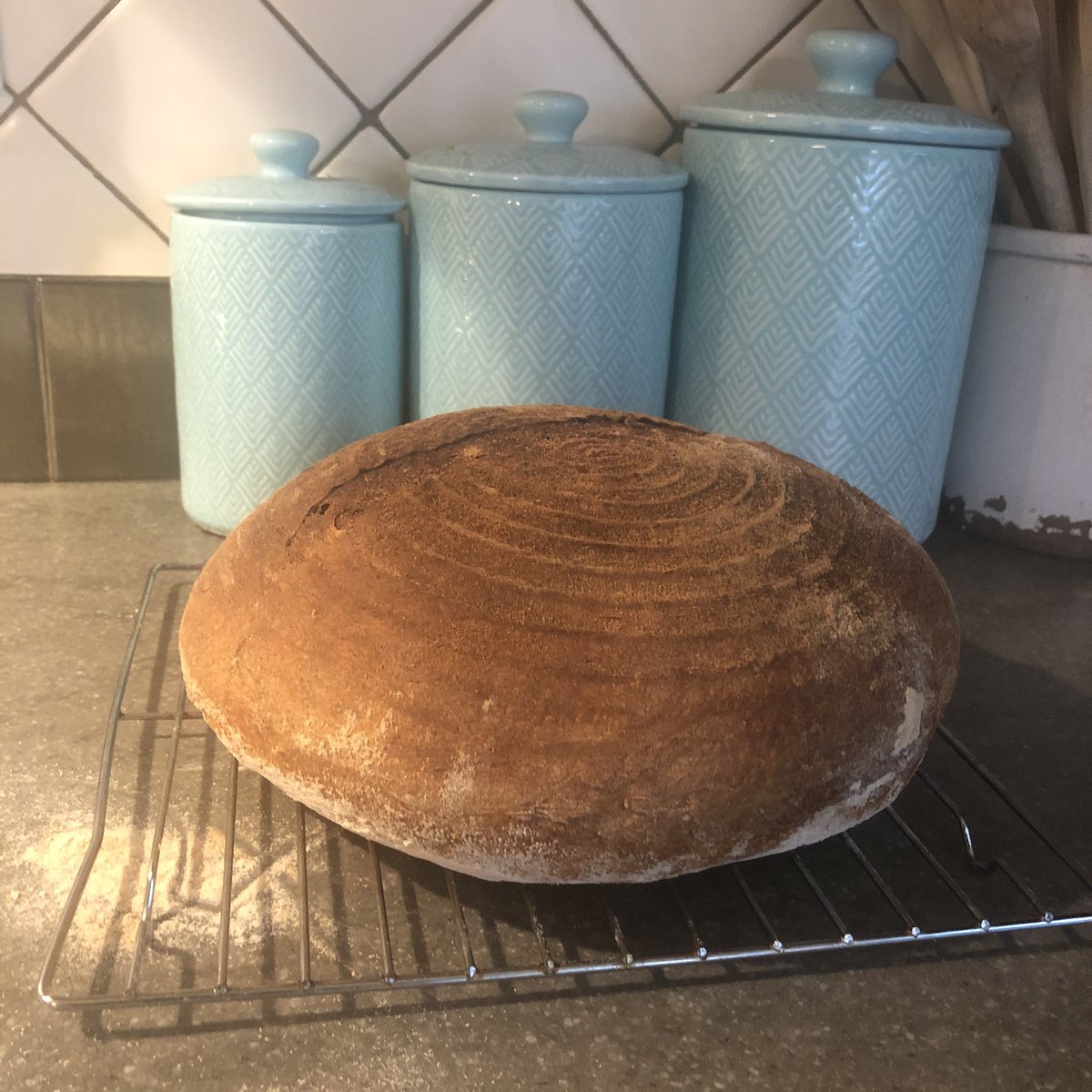 Turkinator's tweet image. Flexing some bread muscles as Electoral College elects Joe Biden.