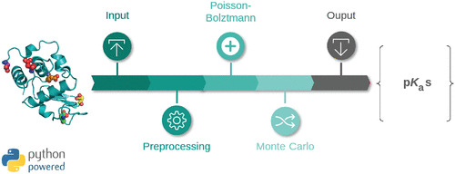 JCIM_JCTC's tweet photo. #PypKa: A Flexible Python Module for Poisson–Boltzmann-Based #pKa Calculations  
https://t.co/hxtUOFqDMx  
@MiguelMachuque1  
#October_issue #Application_Notes https://t.co/kUQbgMvnSA