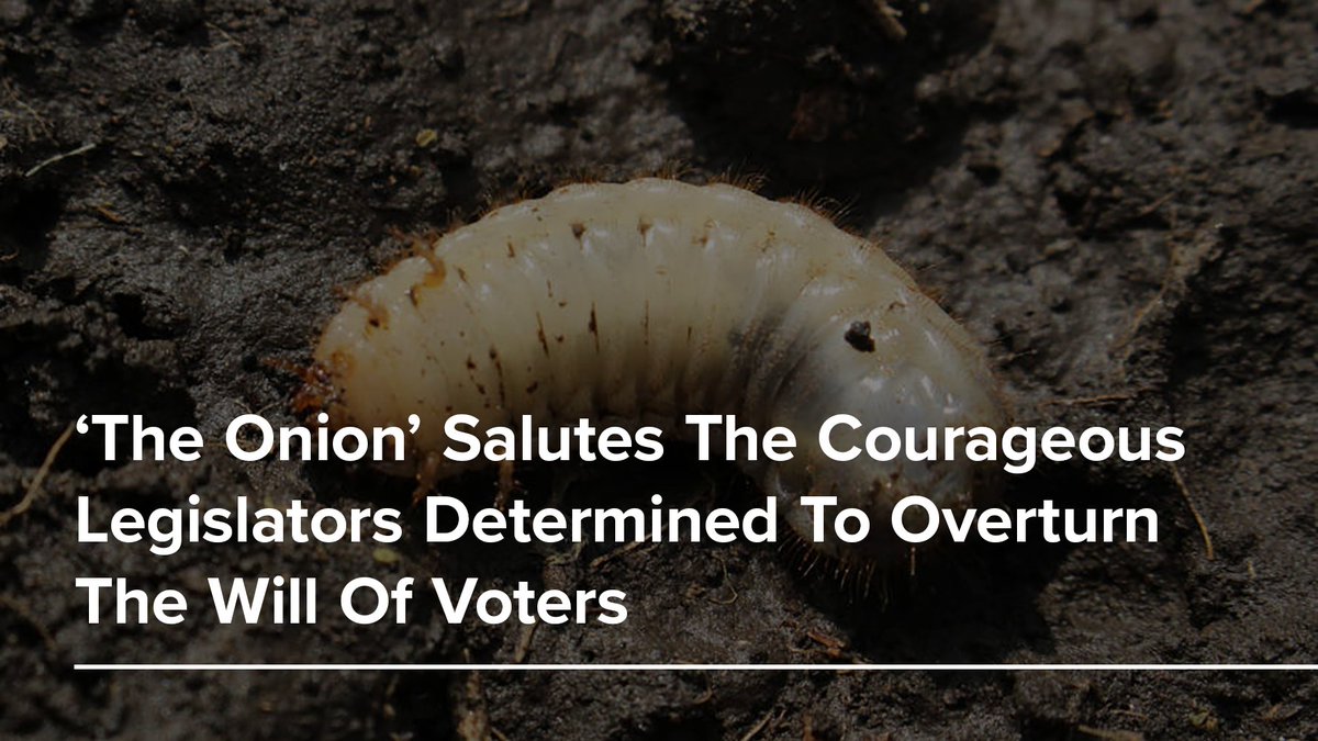 .  @RepJackBergman, we are blessed to have you working tirelessly to throw out the votes of Michigan residents.  https://bit.ly/2WhZfpH&nbsp;