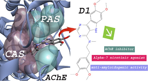 JCIM_JCTC's tweet photo. Discovery of a New Donepezil-like #Acetylcholinesterase Inhibitor for Targeting #Alzheimer’s Disease: Computational Studies with Biological Validation  
https://t.co/QapbwGJEFi   
#October_issue #Chemical_Information https://t.co/1ScH45jcHR