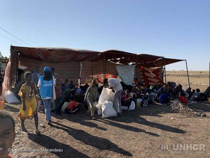UNOCHA's tweet photo. Tigray: our humanitarian colleagues continue to report 𝗱𝗶𝗿𝗲 𝘀𝗵𝗼𝗿𝘁𝗮𝗴𝗲𝘀 of vital supplies, including food, water, fuel &amp; cash.

More than 63,000 people have been internally displaced in the region. 

Our latest info: https://t.co/8j4BaMRn9o https://t.co/QVEu0M1gdo