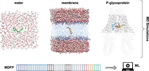 JCIM_JCTC's tweet photo. Combining Machine Learning and #Molecular Dynamics to Predict #P_Glycoprotein Substrates 
https://t.co/OhLFJb5Qg2  
@hjuinj @FOellien  
#October_issue #Chemical_Information https://t.co/mw9x2Qbpa8