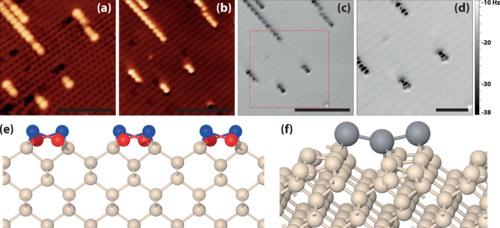ncAFM @ Leeds tweet media