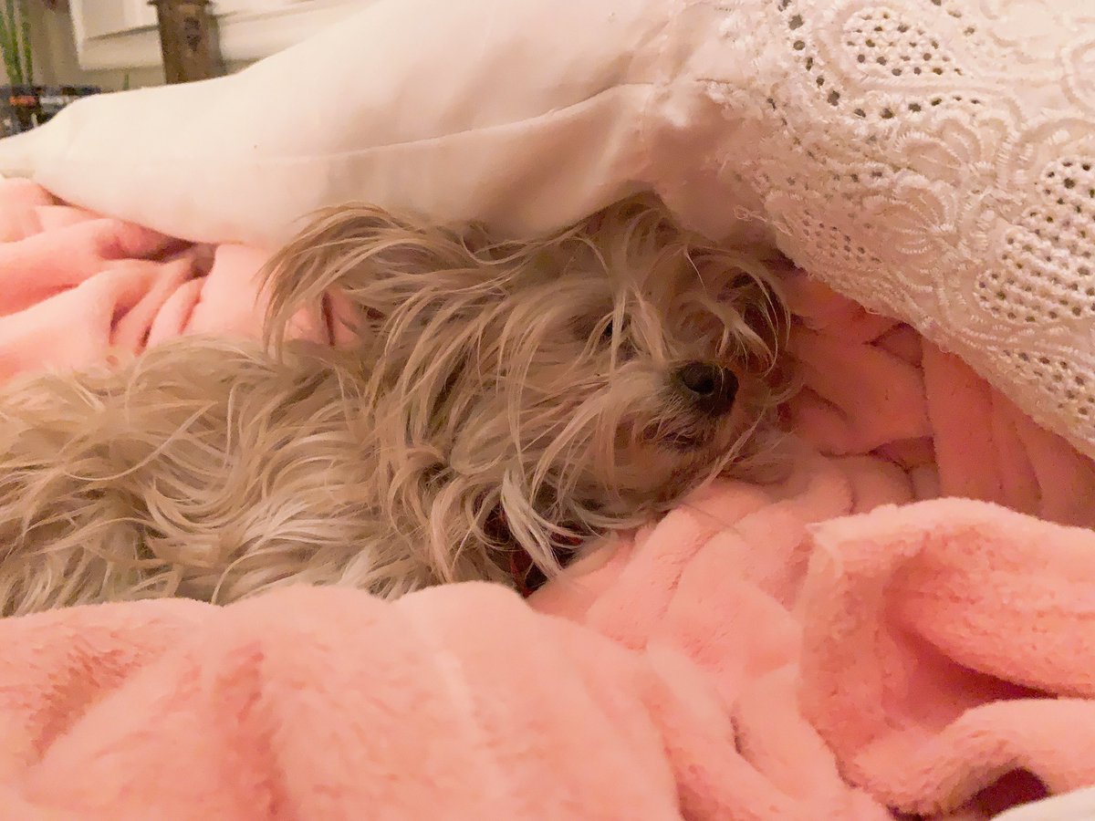 𝕻𝖎𝖓k tweet media