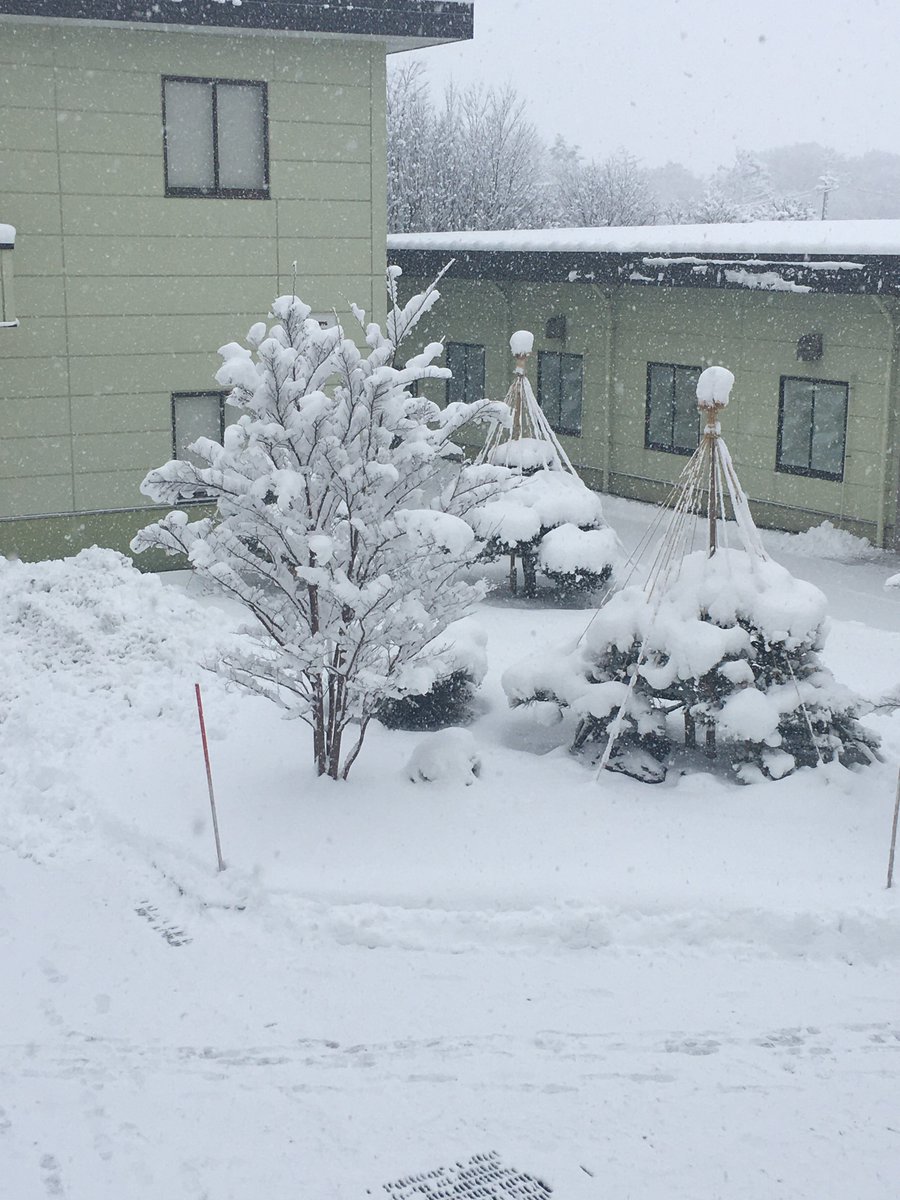 天気 岩手 上市 県 北