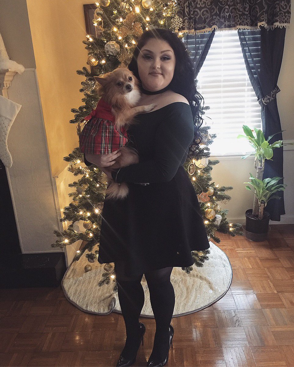 qxeenchels's tweet photo. @JeffreeStar SAME. 🥺🥺 I need another. Here’s my little girl that made me a pom mom 💕 https://t.co/7COMIEPEk5