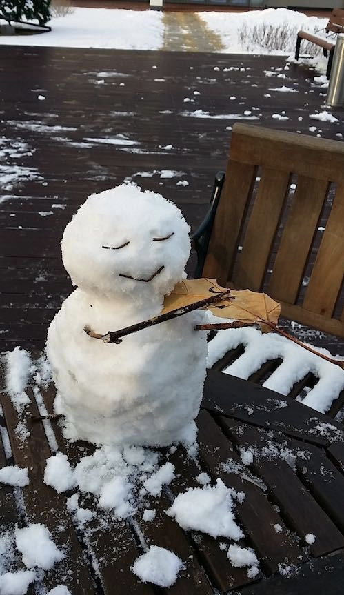 pianodinde's tweet photo. il vous joue une berceuse https://t.co/y318qTKu1g