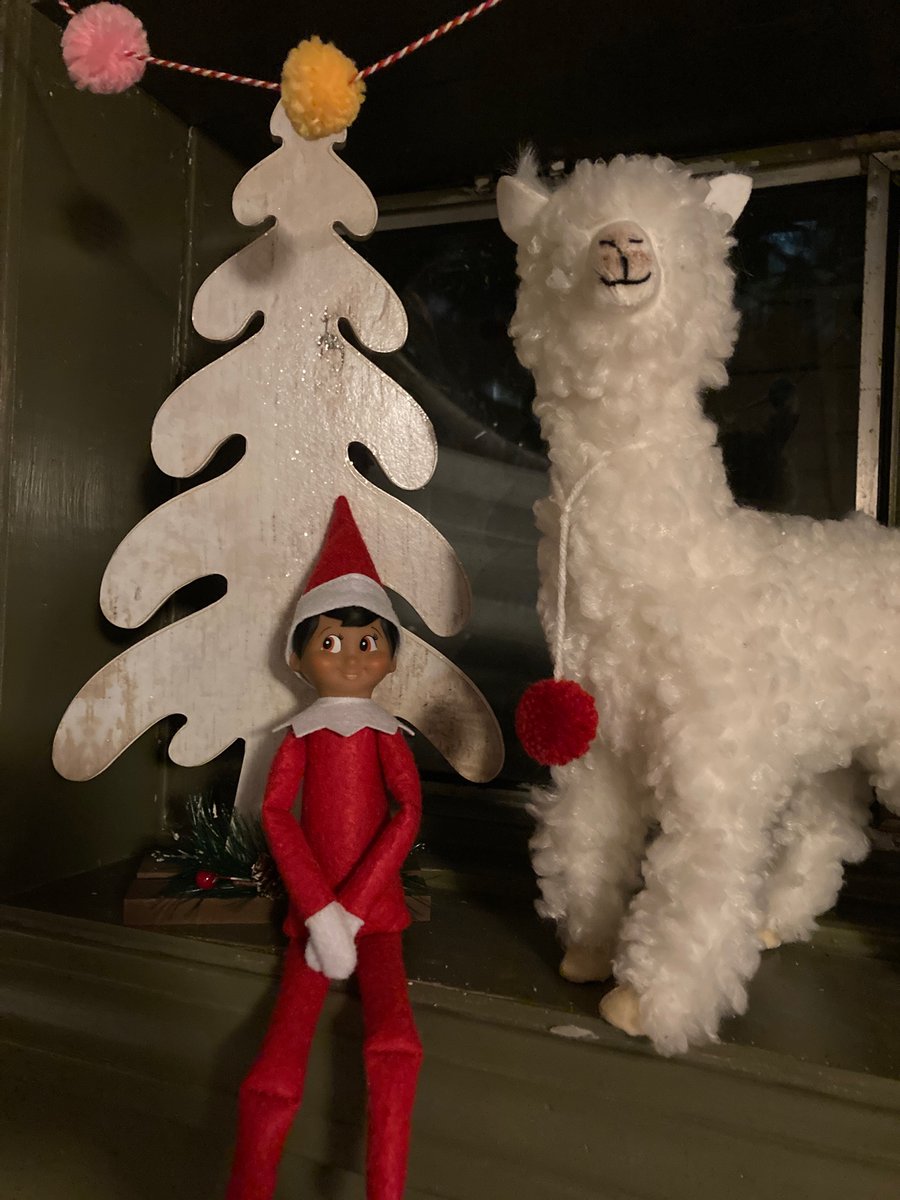 msAngelo_'s tweet photo. @_MHSWellness Oh no! Elfis isn’t following the rules! https://t.co/4TgMWl9z4m