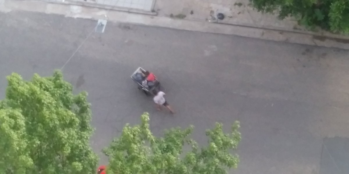 Solafernandoiva's tweet photo. ÉL dirigiendo y haciendo ruidos de acelerar con la boca, el (padre; hermano o tío) le sigue el juego empujando según el diga; el otro recolectando; yo sacando la foto e instantáneamente quejándome de la calidad. Que pedazo de Pelotudo es uno a veces..!!! https://t.co/P7Ip3oaLs0