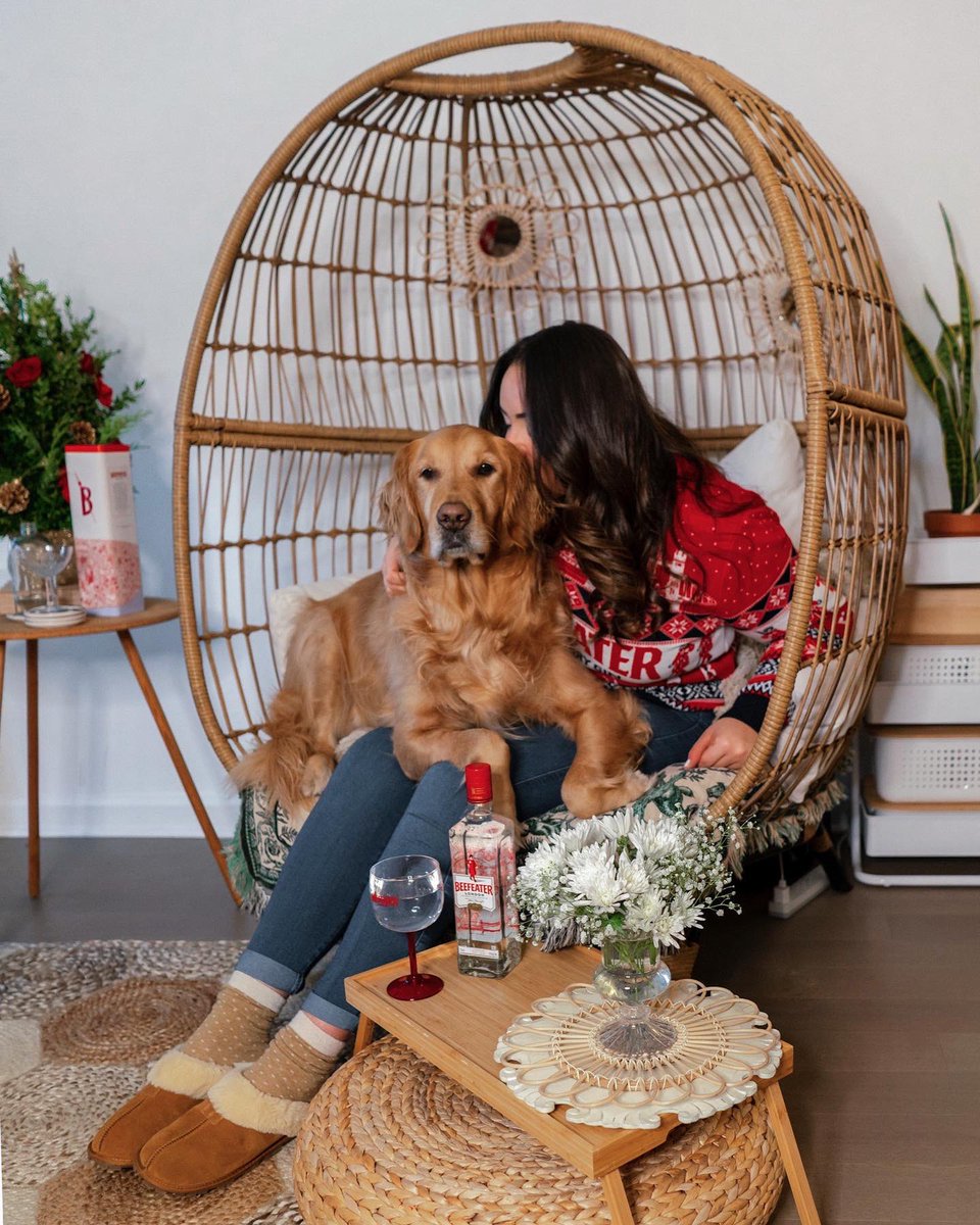 Reppin the World's Most Awarded Gin and kicking winter off extra cozy with @beefeatergin_us

#BeefeaterGin #GoldenRetrievers #WorldsMostAwardedGin #cozyuptobeefeater