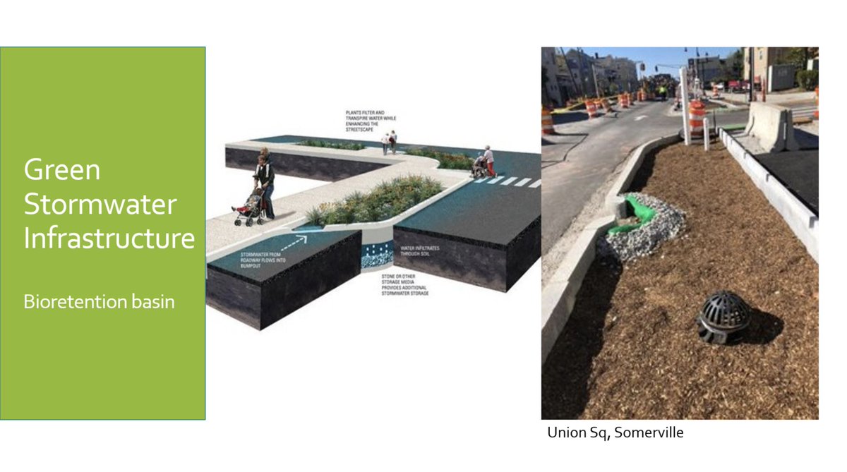 Dammit! I was too slow on the one that had trees planted above it!Here's a "traditional" bioretention basin.I didn't know that we had these on Somerville Ave!16/?
