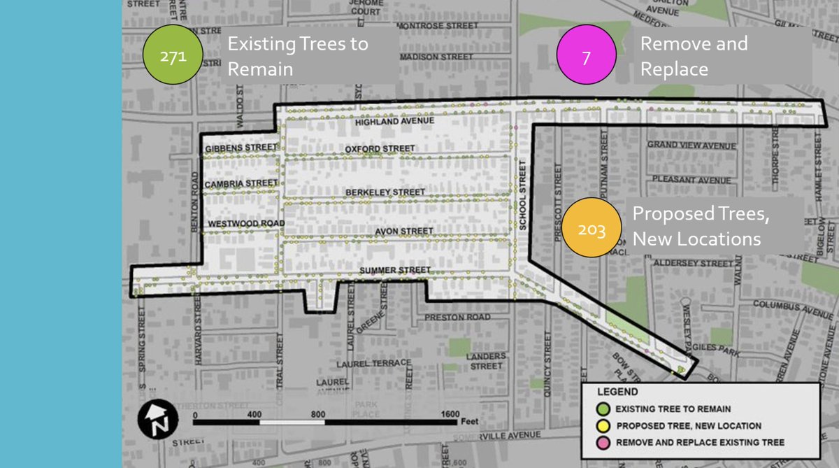It will not surprise you to learn that I leaned in close and squinted at this picture, before smiling.This is the kind of plan, at first blush, that I like to see.Said the tree guy.17/?