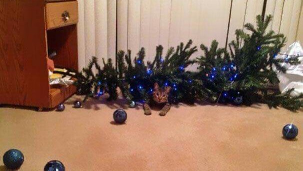 imichigan_'s tweet image. Karen: Qué fue ese ruido? 
Yop: