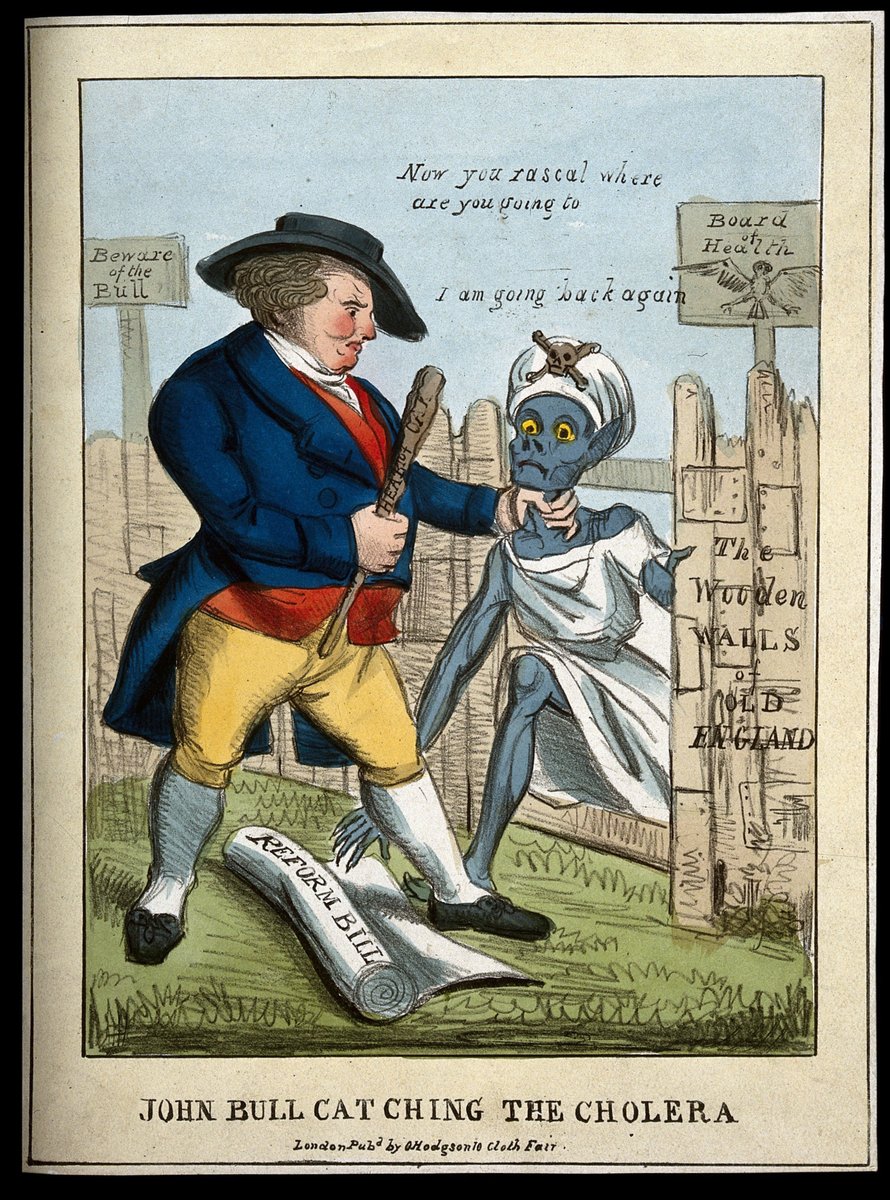 And this brings us to this week's profile image. Cholera is an interesting disease to study, and I'll explain in more detail later on. However, it had not appeared in Europe before the 19th century (in fact, it may not have appeared *anywhere* before 1817). (13/21)