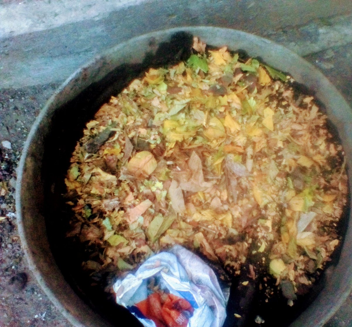 bertinneo's tweet photo. Un poquillo de #BasuraOtoñal u #Hojarasca NO viene mal al preparar #Tierra, hacer #Composta con #Cascaras de #Frutas, #Huevos, #Verduras y #Desechos de #Papel y #Aserrin para #Cultivar y #Abonar #Plantas y #Sembrar #Semillas. #Reciclaje #Cuidado #MedioAmbiente #Naturaleza 🍁🌎🌱 https://t.co/Fbz0JkDgvK