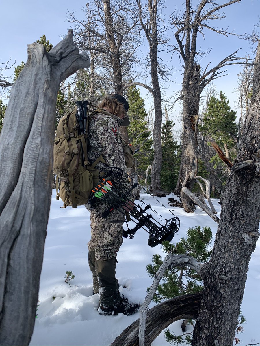 ChaseGalley's tweet photo. Love chasing elk with a bow! #brothersinthewild #elk #bowhunting 
📸:@darby6897 https://t.co/MtDCf6Tmgr