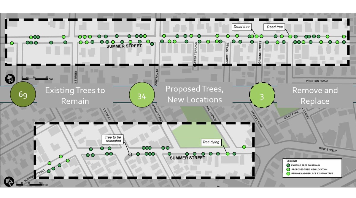 "We're removing three trees, because they're dead."Fair.32/?