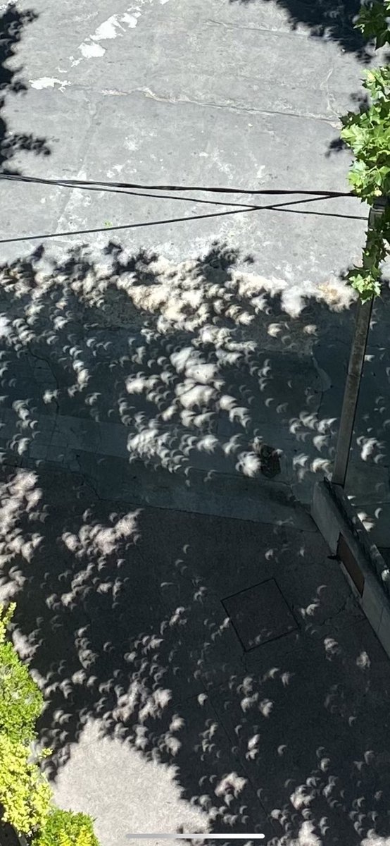 jpcuello's tweet photo. Eclipse desde Montevideo. https://t.co/2cv2d5y5ff