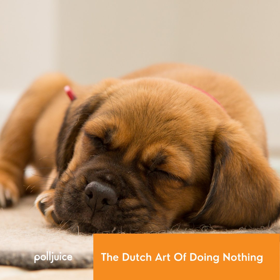 polljuice tweet media