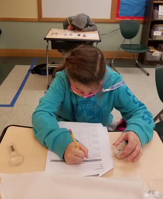 QRSWolfsonClass's tweet photo. Observing, recording, and discussing the properties of the four components of soil. @MrsMeghanMeade  #qrspride https://t.co/QIosuM8KMa