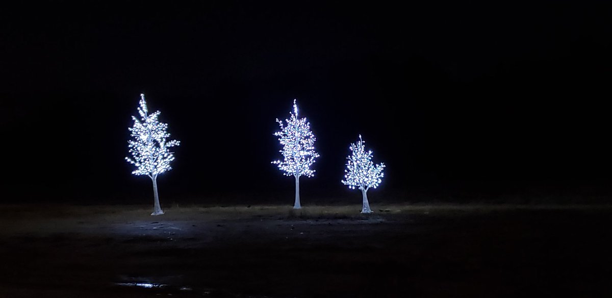 mrsalight's tweet photo. Thank you @WCPSS and @WRAL for the Nights of Lights tickets. Thank you for recognizing educators and Healthcare workers! It made for a great little date night with the husband!🥰 The "snow" at the beginning was my favorite! https://t.co/li2XVuUf2n