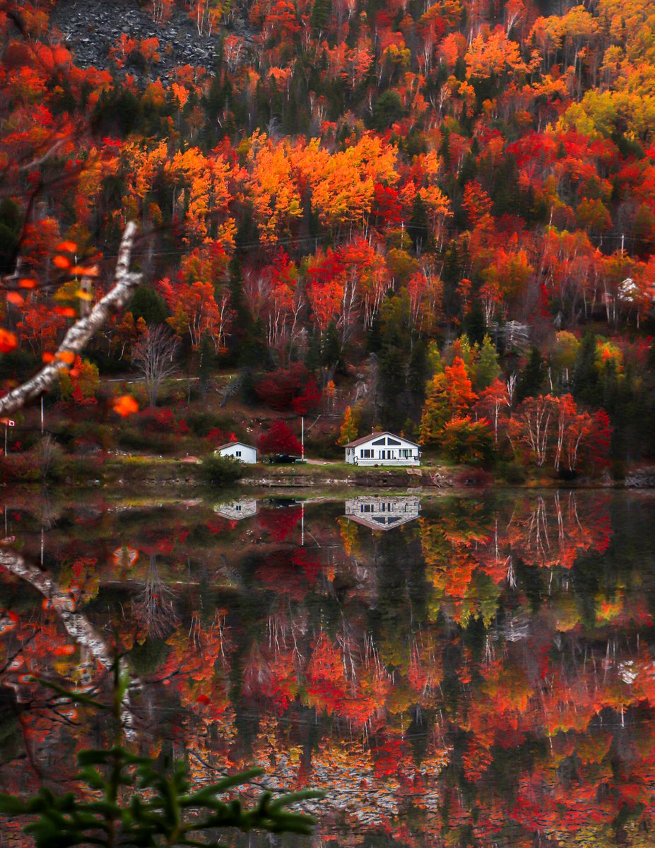 Do you love Fall season ?🍁

.
.
.
.
.
.
.
.
.
.
.
.
•
•

#halifax
#novascotia
#dartmouth
#photo
#photography
#explorecanada
#discoverhalifax
#visitnovascotia
#paradisecanada
#tourcanada
#fallcolors
#novascotia
#eastcoast
#canada
#fallvibes
#fall
#capebreton
#dronephotography