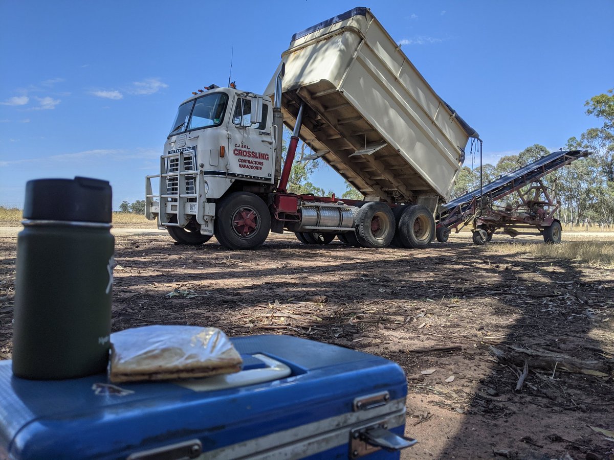 Damien Crossling tweet media