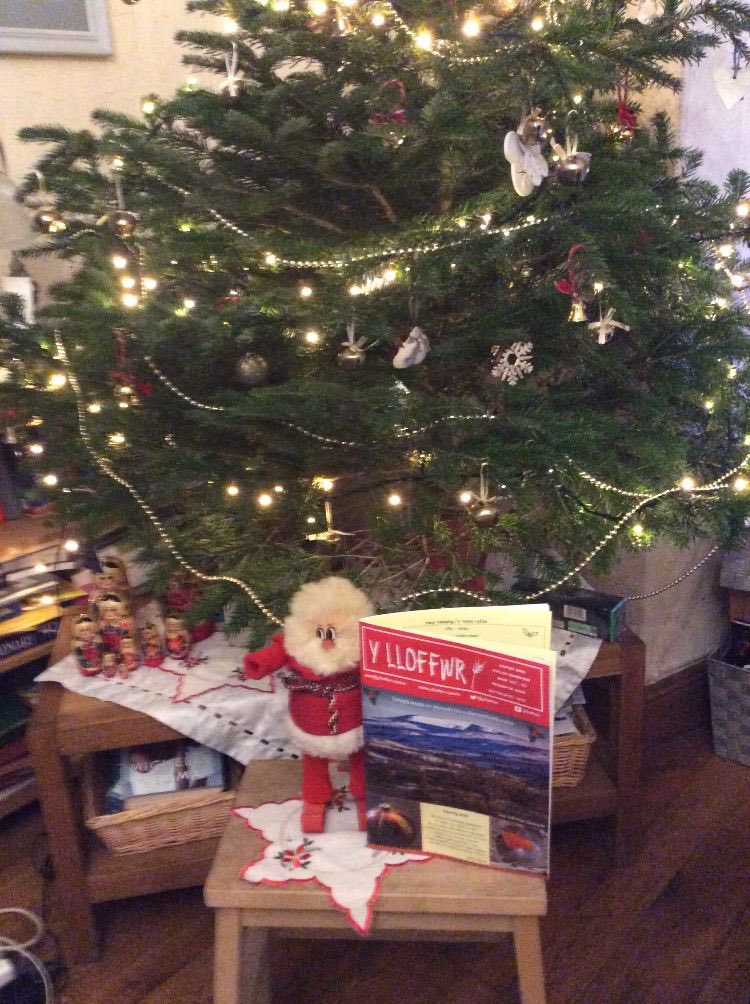 Y Lloffwr tweet media