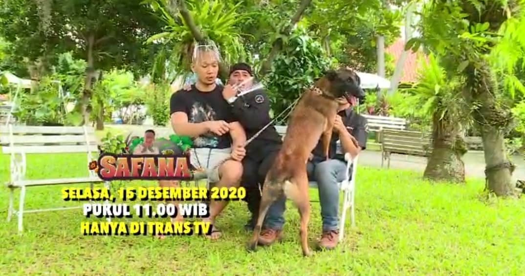 TRANSTV_CORP's tweet photo. Selamat Selasa Pagi Sobaat 😍😍
Semoga sehat selalu semuanya ya 🙏🙏🙏
Akhirnya yang ditunggu-tunggu hadir juga!!
Ada The Golden Family di episode SAFANA Spesial #HUT19TRANSMEDIA 🎉🎉🎉
Penasaran khaaan keseruannya gimana??
Tonton SAFANA Jam 11:00WIB hanya di @TRANSTV_CORP https://t.co/2R1ZWmm4DV