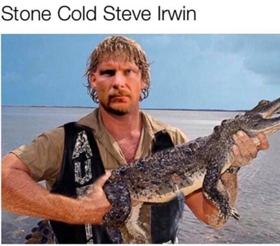 🤣🤣🤣