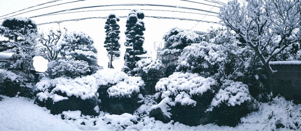 植木千遥 夏 秋 冬 雪 とっても重そうだなぁ 春はどんな表情を見せてくれるのだろうか 雪積もる日に 縁側に腰掛けて 熱燗とか梅酒のお湯割りを飲みながら一人で線香花火がしたい と言い続けて5年がすぎたんで 今年はやります