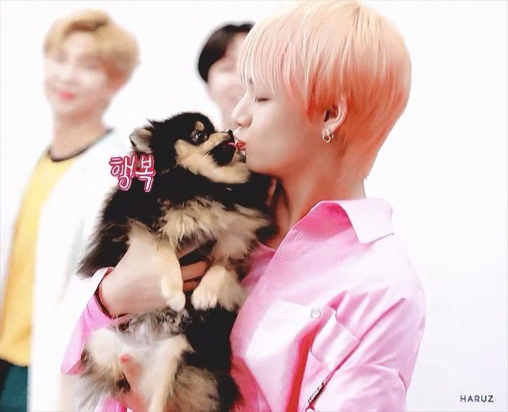 sweetrose081102's tweet photo. I wish I'm TANIE...🐕

Yeontan? Sumosobra kana ha! You taking all the advantage🤦🏽‍♀️😂 sana ako nlng ikaw💜😘 #CUTEDOG #YEONTAN #DADDYV @BTS_twt https://t.co/m7DEOZxQo1