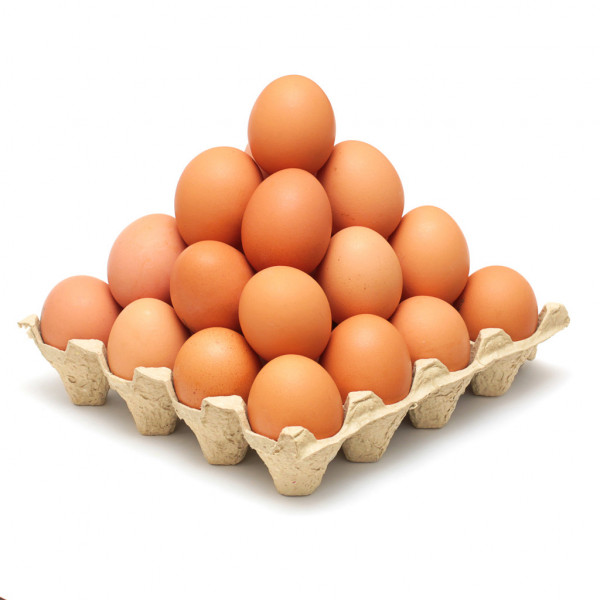Samuel_Cer75's tweet photo. Vamos @Rayadas con todo 
póngale muchos 🥚🥚 https://t.co/MzjmtHBgjf