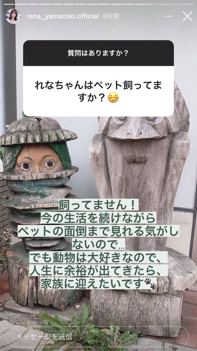 Q: Do you have any pets?A: I don't! I don't feel that I'd be able to take care of a pet while continuing this lifestyle... But since I love animals, when I have more leeway in my life, I'd like to welcome one into my family 