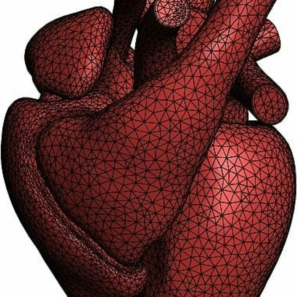 3dheals's tweet photo. #Repost @simplewaresoftware
Finite element model of the heart in Simpleware software.
.
.
.
.
.
.
.
#SWSynopsys #simplewaresoftware #heart #lifescience #cardiovascular #simulation #fea #meshing #mesh #finiteelement #numericalmodeling https://t.co/tgRvBlsbwP