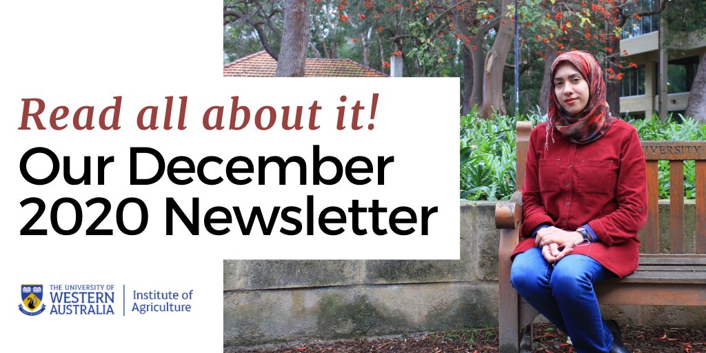 IOA_UWA's tweet image. Exciting news 🎉 The @IOA_UWA Dec Newsletter is out now! Our final edition for 2020 is packed with @UWAFutureFarm updates, research, @uwanews  student stories, event wrap-ups &amp;amp; more: uwa.edu.au/institutes/ins… @KadambotS @UWAresearch @ScienceUWA @SAgE_UWA @farmweekly @Countryman1885