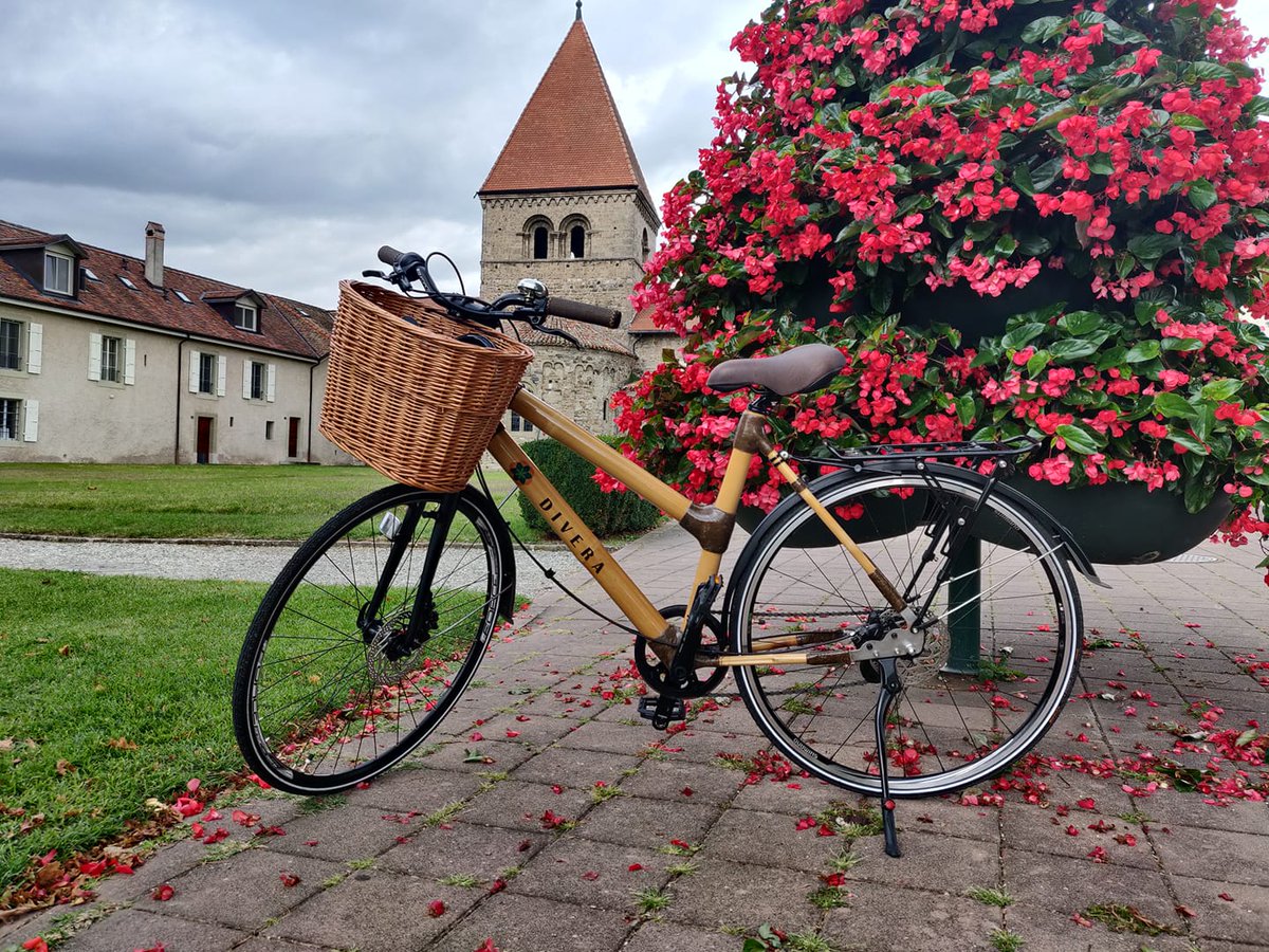 DiveraBikes's tweet photo. This photo was sent to us by one of our proud clients from Lausane, Switzerland. Many thanks. https://t.co/DiGyVsa2bi